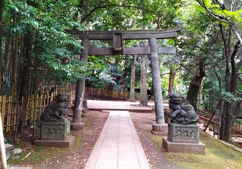 北参道にある鳥居の風景