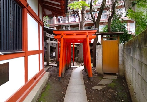 朱塗りの鳥居が並ぶ風景