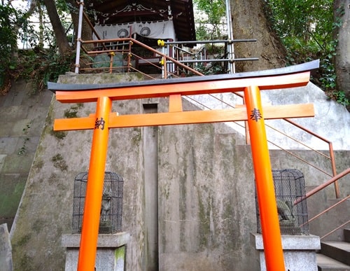 階段手前の鳥居の風景