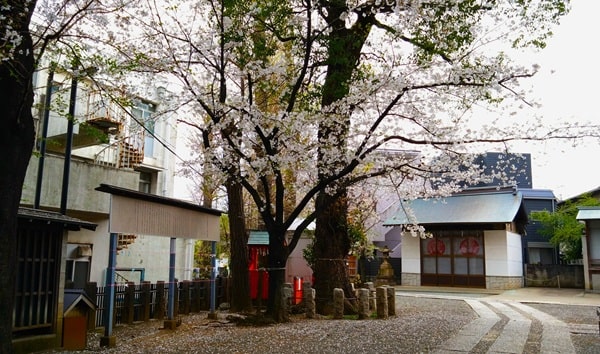 境内の風景