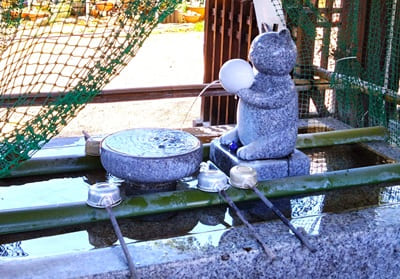 手水舎にいる猫の石像