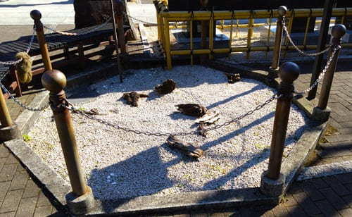 道潅杉跡の様子