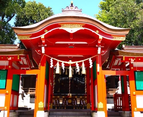 賽銭箱が見える風景
