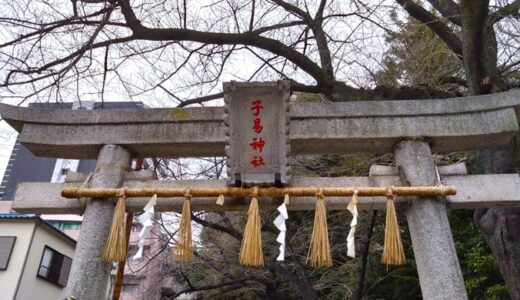 「子易神社」の御朱印！観音様と身替り地蔵も祀られている神社だよ