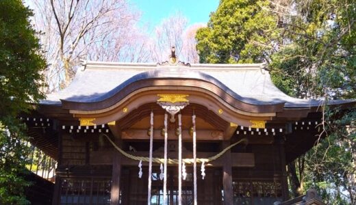 「石神井氷川神社」の御朱印は凄いよ！石神井総鎮守の歴史ある神社