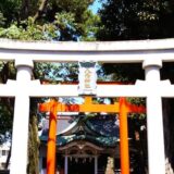 天沼八幡神社の御朱印！境内で鳩に会えるとご利益を得られた気がする