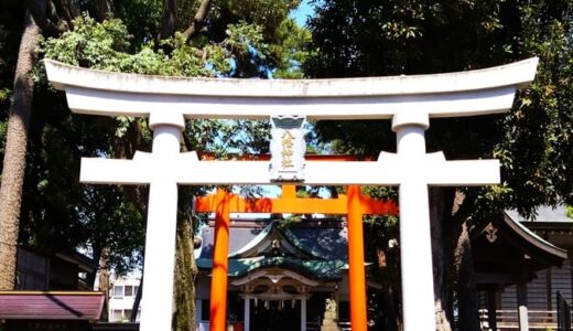 天沼八幡神社の御朱印！境内で鳩に会えるとご利益を得られた気がする