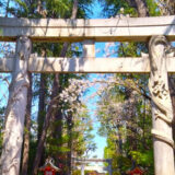 「馬橋稲荷神社」墨書きの文字が素敵な御朱印！見どころが多い神社だよ。
