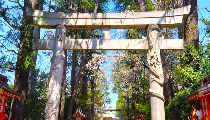 珍しい鳥居
