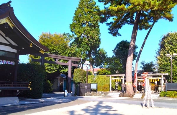 御神木と境内社の風景