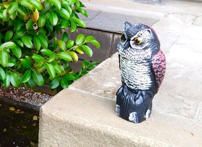 フクロウの石像