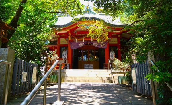 石段の上に社殿がある風景