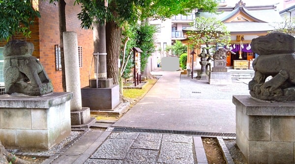 超珍しい狛犬さん