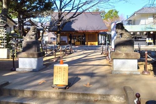 狛犬正面からの風景