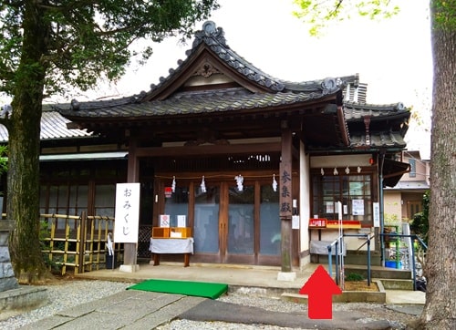 社務所正面の風景