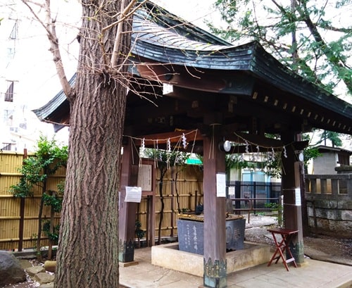 手水舎の風景