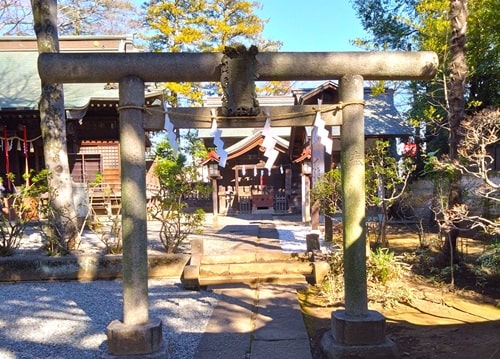 須賀神社鳥居からの風景