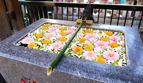花が浮かんでいる様子