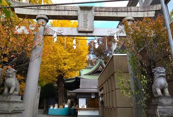 裏参道の鳥居正面の風景