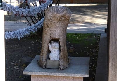 木の中にいる招き猫