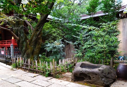桜の木がある風景