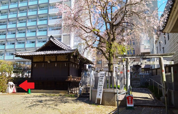 参道右手の風景