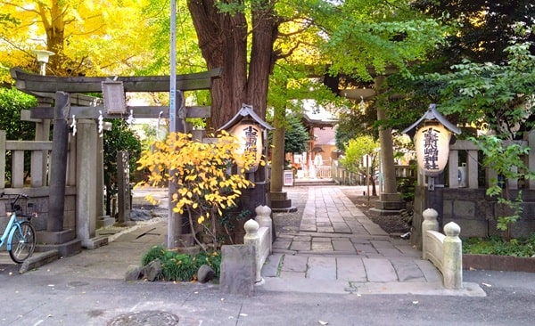 表参道の鳥居正面の風景