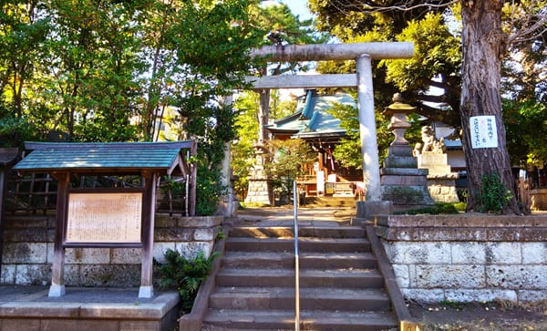 参道途中にある鳥居正面の風景